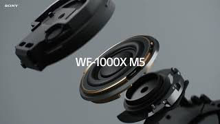 Sony | WF-1000XM5 Wireless Noise Cancelling Headphones | Official Product Video (SOUND)