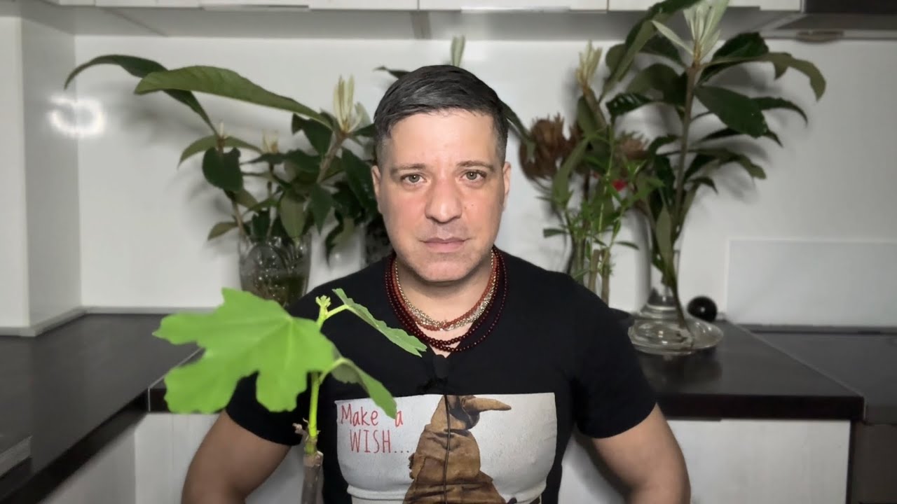 СКОРПИОН ♏️ Вам нужно знать об этом — Гадание на картах Таро для Скорпиона