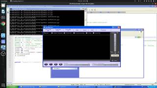 Audiotra BUffer overflow windows