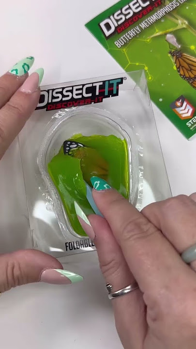 Dissect It Mystery Butterfly 🦋 #asmr #oddlysatisfying #butterflies #shorts