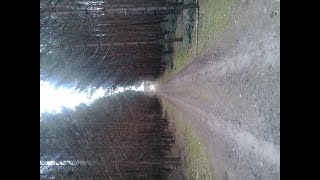 radio wymiatcz: }