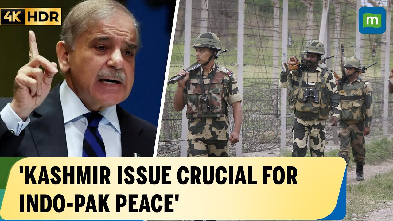 Pakistan PM Shehbaz Sharif Raises Kashmir Concerns in London, Addresses Gaza Conflict | 4K