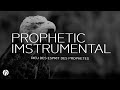 SI LE DIEU DES ESPRITS DES PROPHETES / INSTRUMENTAL PROPHETIQUE