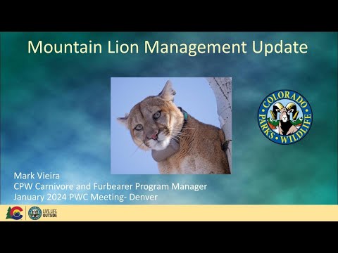 2024 Mountain Lion Management Update