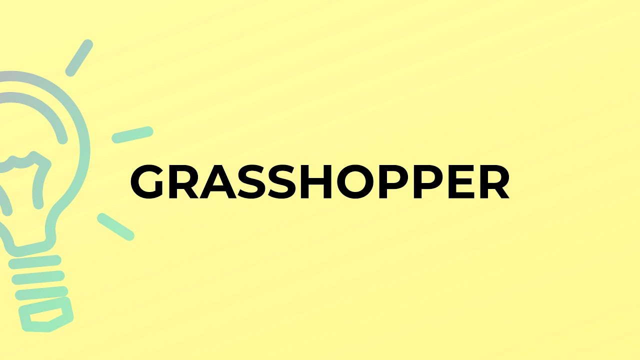 What is the meaning of the word GRASSHOPPER?