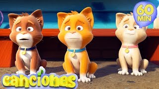 Tres Gatitos - Rimas infantiles | LooLoo