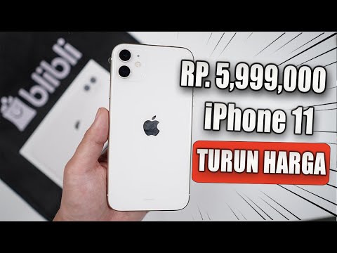 TURUN HARGA! Saatnya Beli iPhone 11 di Tahun 2024