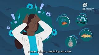 The Ocean Decade Africa Roadmap