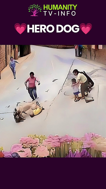 Hero Dog Saves Child In Daring Rescue | #shorts #respect