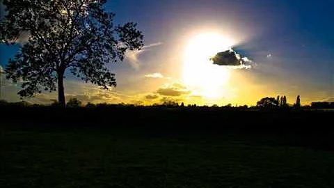 Dale Anderson & Anil Chawla - Leftorium (Ambient M...
