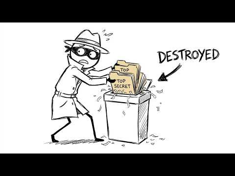 MistyRay's Secret Files: Exposed!