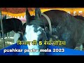        5   pushkar pashu mela 2023  pkraj vlogs