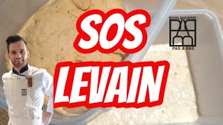 SOS LEVAIN ! Bien rafraichir son levain et tout savoir sur le levain liquide et levain pâteux .