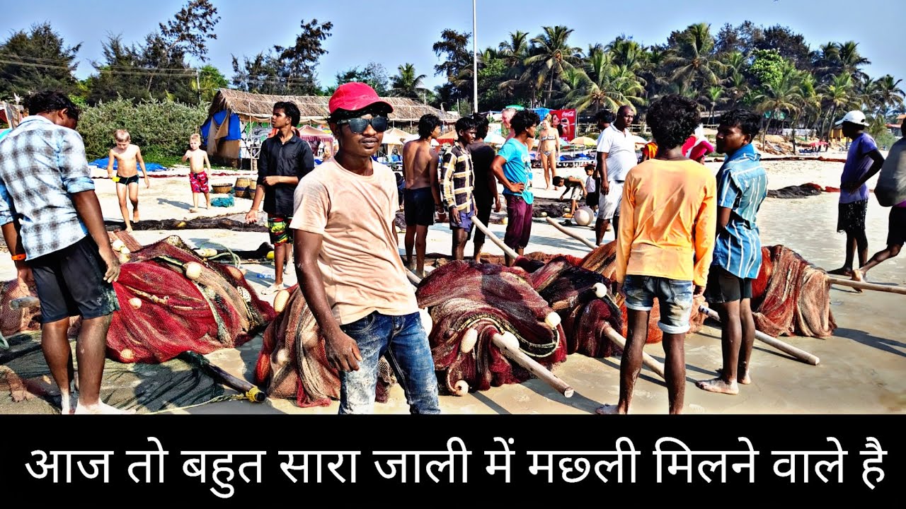 Jali bhar gayi, kismat chamak gayi!Samundar ka khazana mil gaya! 🌊#fishinglife #bigcatch #machli