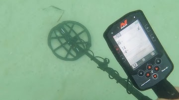 Metal Detecting Under Water With Minelab Manticore Florida Beaches Ran Into Dolphins Up Close