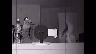 Bluefrogs Radnor Water Mock Adverts