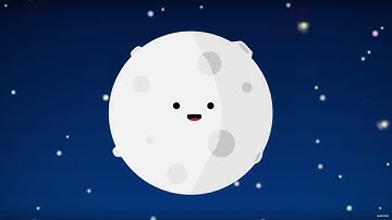 What Did We Leave On The Moon? | Earth Science