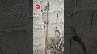 ریشه در خاک