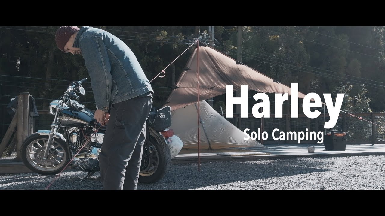 バイク／ソロキャンプ／平日満喫／埼玉県喜多川キャンピングベース#ハーレー#ソロキャンプ#キャンツー#FXDL