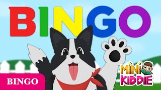 BINGO | Nursery Rhymes with Lyrics | Kids Songs | Mini Kiddie