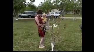 pooh easter 1998