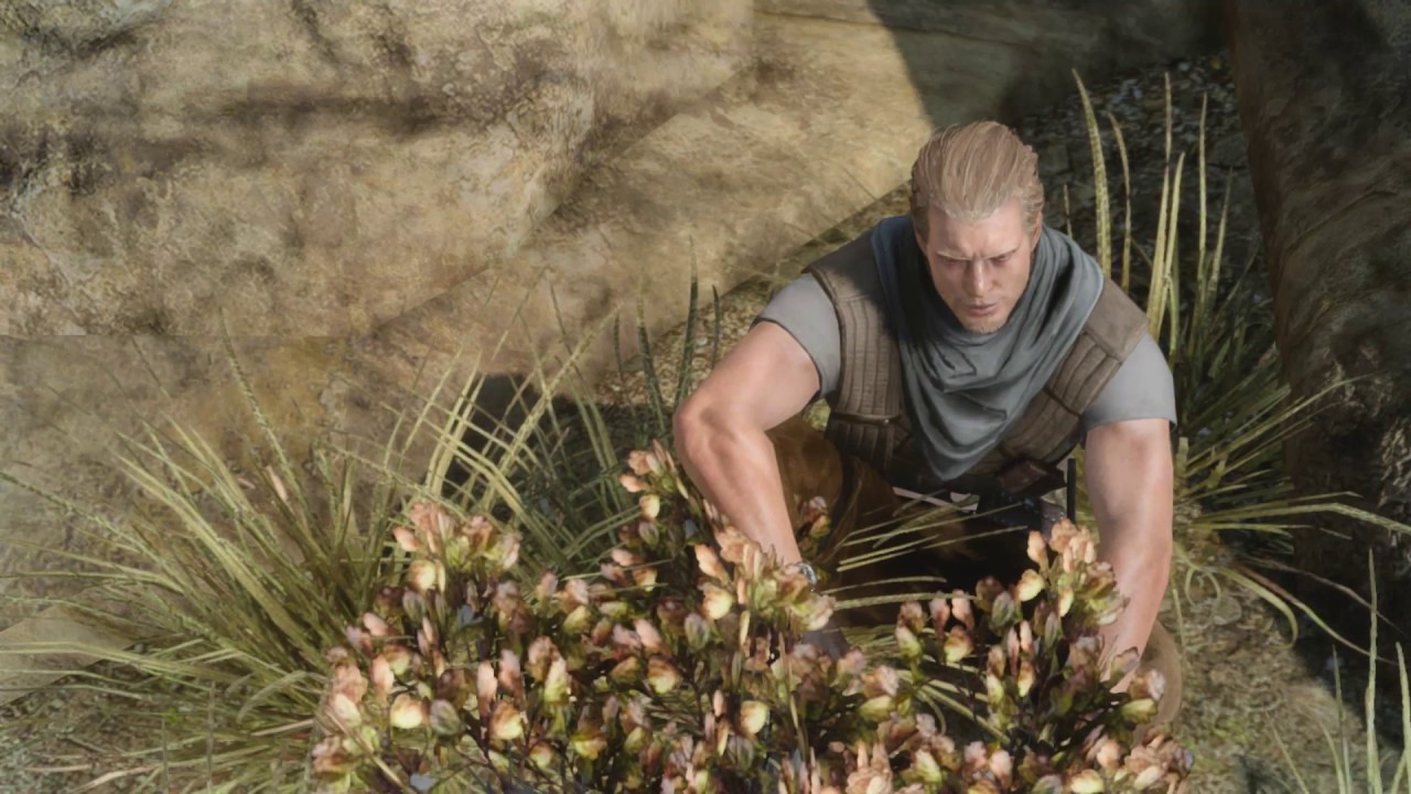 Final Fantasy XV - Side Quest - Search and Rescue