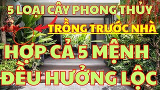 5 LOẠI CÂY PHONG THỦY TRỒNG TRƯỚC NHÀ HỢP CẢ 5 MỆNH ĐÓN TÀI LỘC DỒI DÀO&HƯỞNG PHÚC PHẬT TỔ, GIA TIÊN