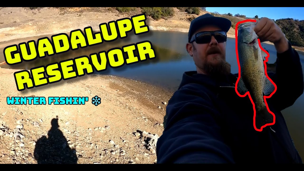 Guadalupe Reservoir is LOW! (Winter Bass Fishing San Jose)