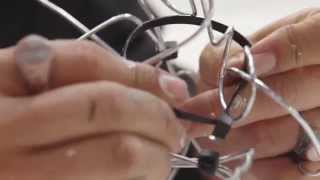 GROLSCH Case Study Creative Circle