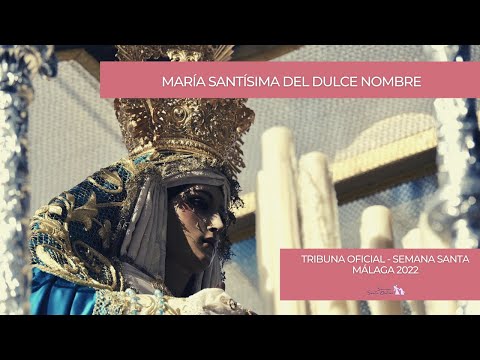 Antigua, Venerable Hermandad y Cofradía de Nazarenos de Nuestro Padre Jesús de la Soledad, Negaciones y Lágrimas de San Pedro, María Santísima del Dulce Nombre y San Francisco de Asís