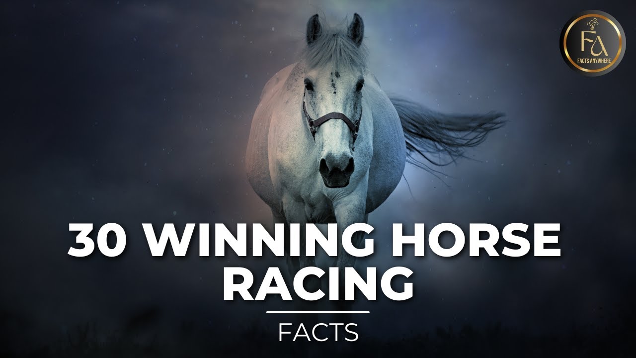 30 most useful facts about Winning Horse Racing horseracingfacts winningathorseracing YouTube
