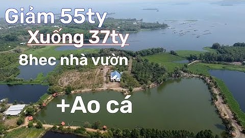 Quá khó khăn! Chủ giảm từ 55ty xuống 37ty cho 8hec nhà vườn ao cá giáp hồ trị an.