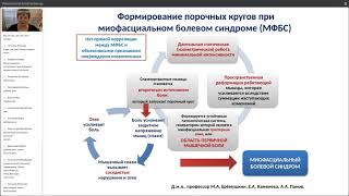 «Позвоночник  Биомеханика Осанка танцовщиков и спортсменов Упражнения для коррекции», Степаник Ирина