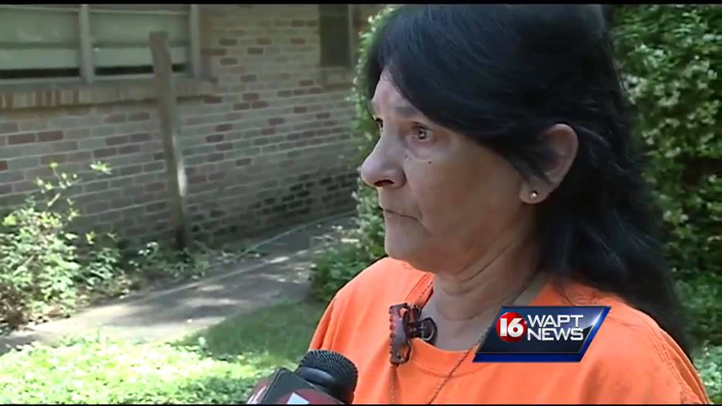 Cicadas emerge after 13 years