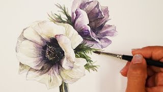 Watercolor Painting | Anemone