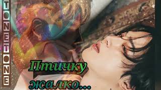 видео: Птичку жалко/лайт Ютуб/TONETONE/#bts #озвучкаbts #фанфикибтс/Cat Wild картинка: Птичку жалко/лайт Ютуб/TONETONE/#bts #озвучкаbts #фанфикибтс/Cat Wild