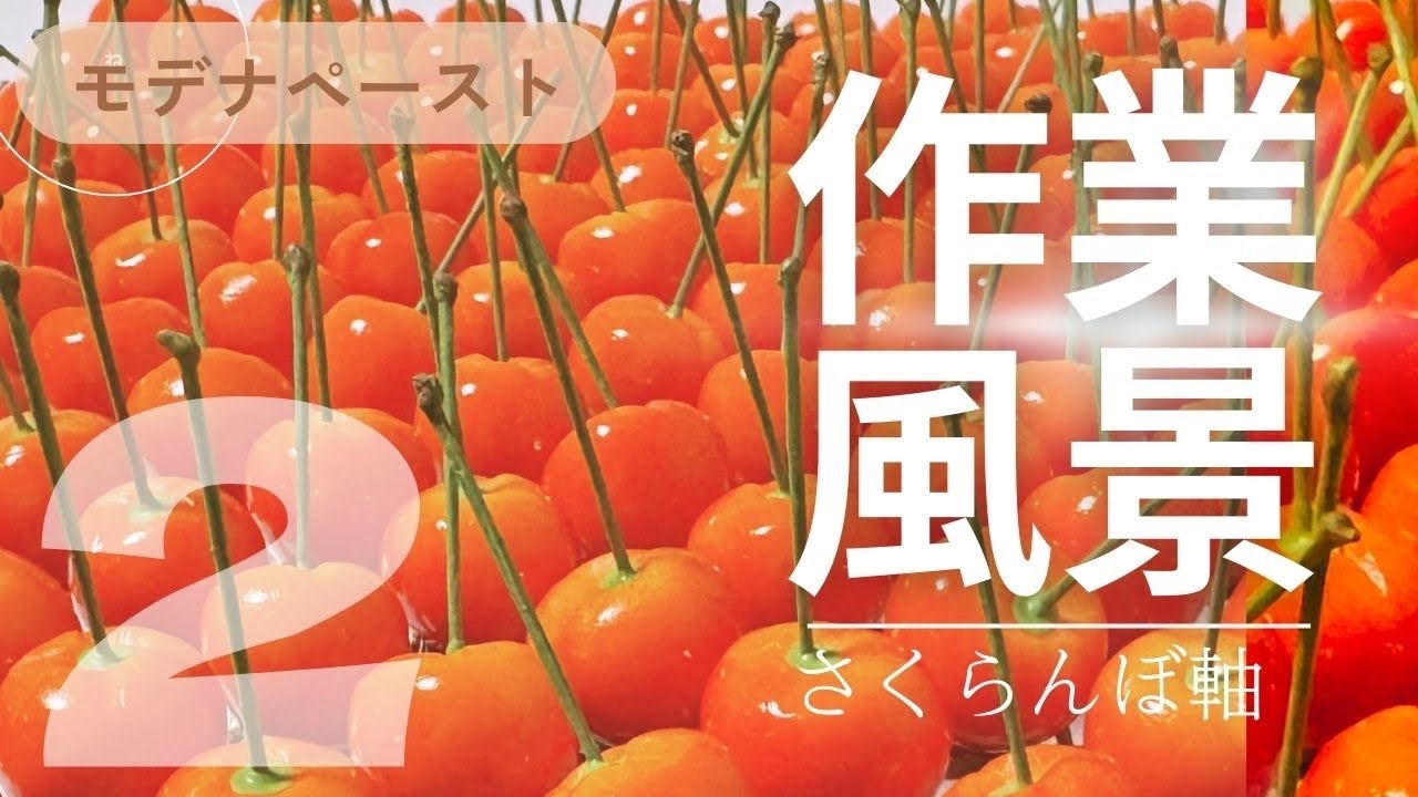 フェイクスイーツ 】作業風景さくらんぼ作り2 軸部分【DIY】【作り方