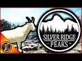 First Real Hunt On Silver Ridge Peaks 