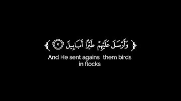 كروما شاشه سوداء قرآن كريم 🌿سورة الفيل (كاملة) 🌿القارئ محمد المقيط 🌿