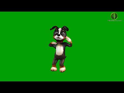 Dog Dancing Green Screen Hd