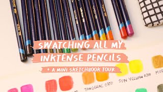 Swatching Inktense pencils + a look in my Sketchbook