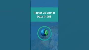 Raster vs Vector in GIS | What Powers Your Maps and Why It Matters