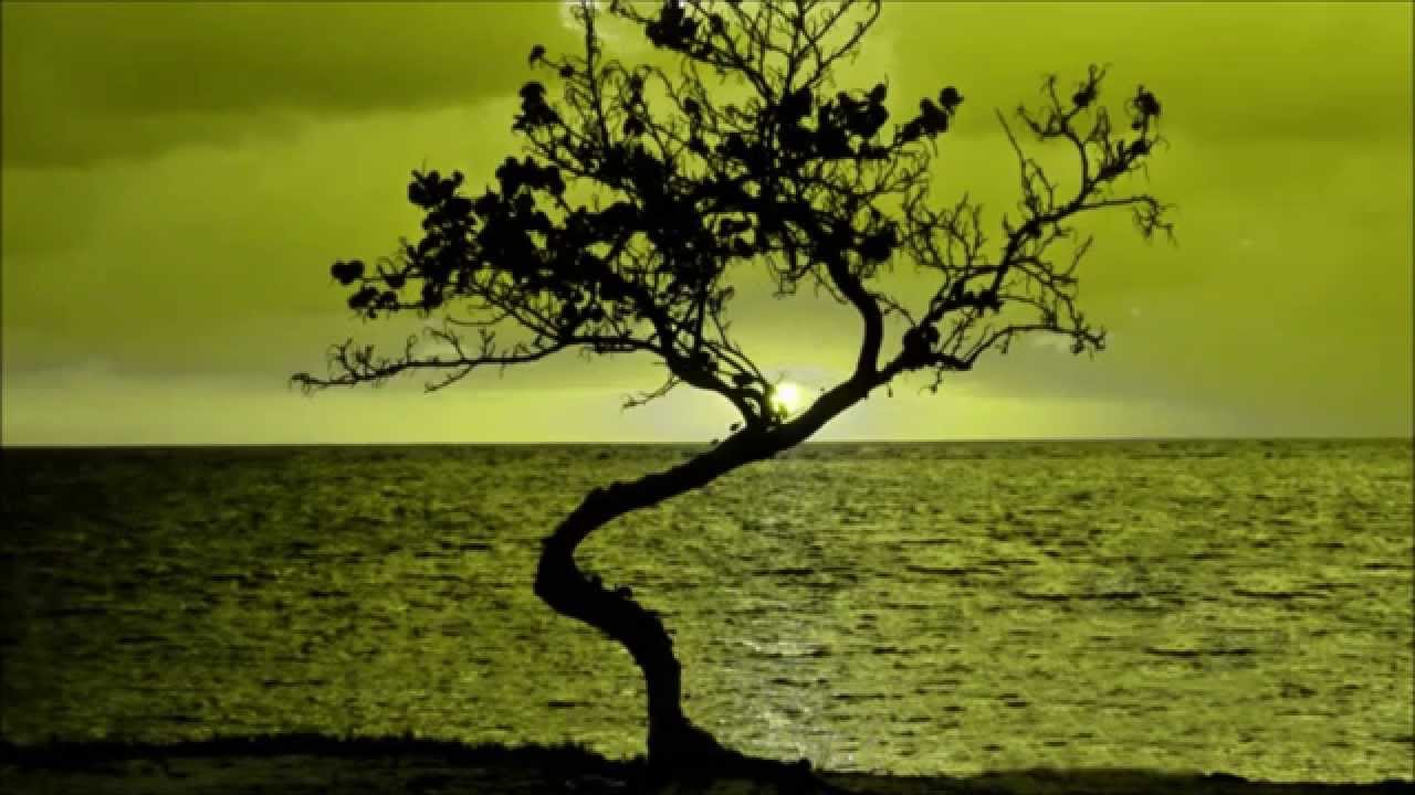 David West - Welsh Morphology (Original Mix) [ANJUNADEEP]