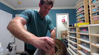 Setting Up A Ball Python Clutch in VR180