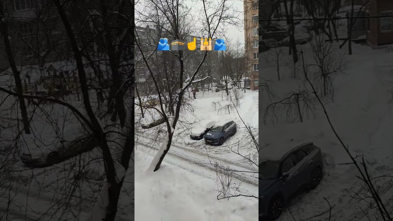 Сура #субханаллах #пророкмухаммадﷺ #аллоху #коран #cat