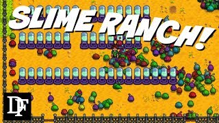Slime Ranch - Stardew Valley Gameplay Hd