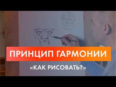 Новое видео проекта 