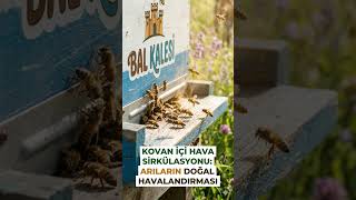 ​Doğanın Gizli Şifası Apiterapi Nedir ve Nasıl Uygulanır #shorts #short #shortvideo #viral #trending