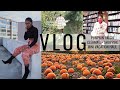 VLOG | PUMPKIN PICKING , SHOPPING , CLEAN WITH ME, MINI VACATION HAUL | iDESIGN8