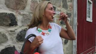 Different Hidden Wine Purse